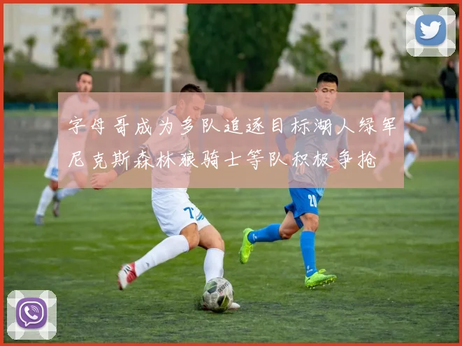 字母哥成为多队追逐目标湖人绿军尼克斯森林狼骑士等队积极争抢